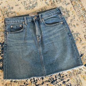 Everlane Denim Skirt